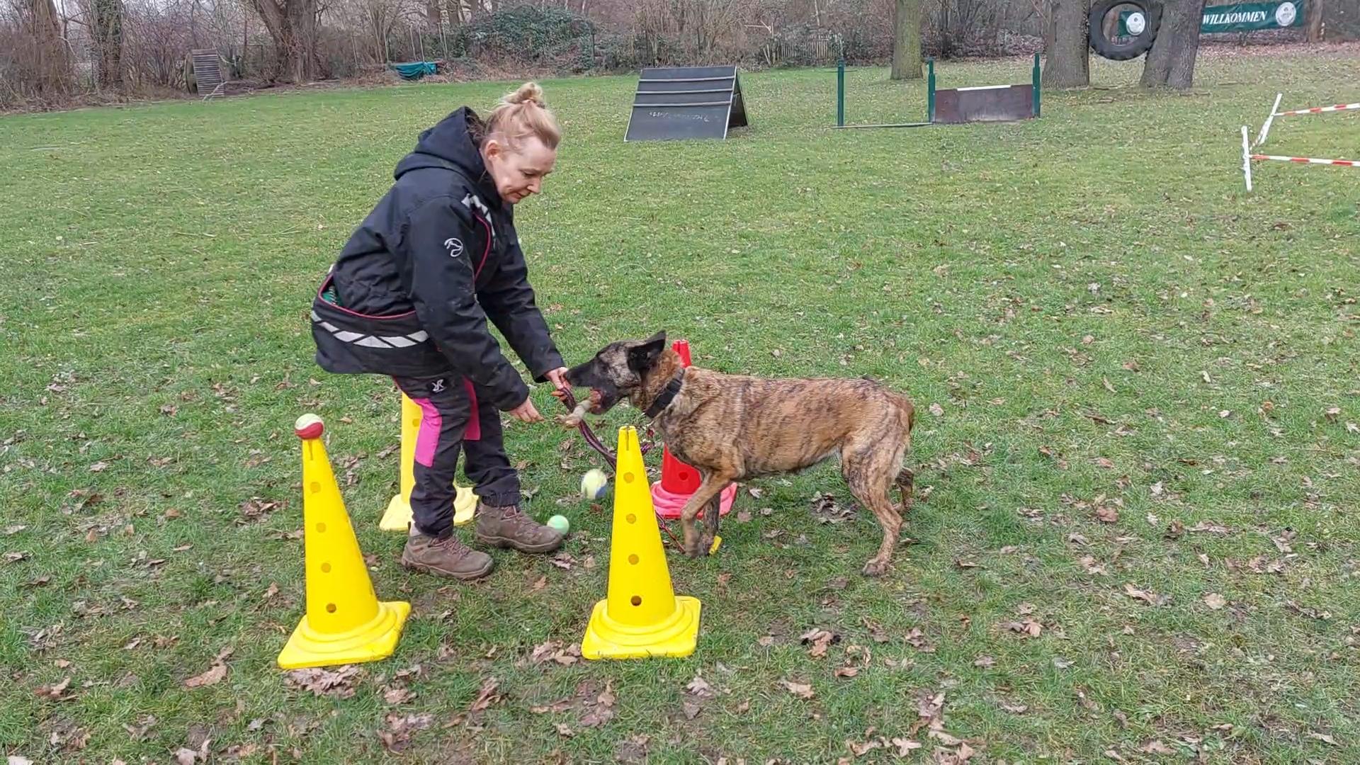 Einzeltraining