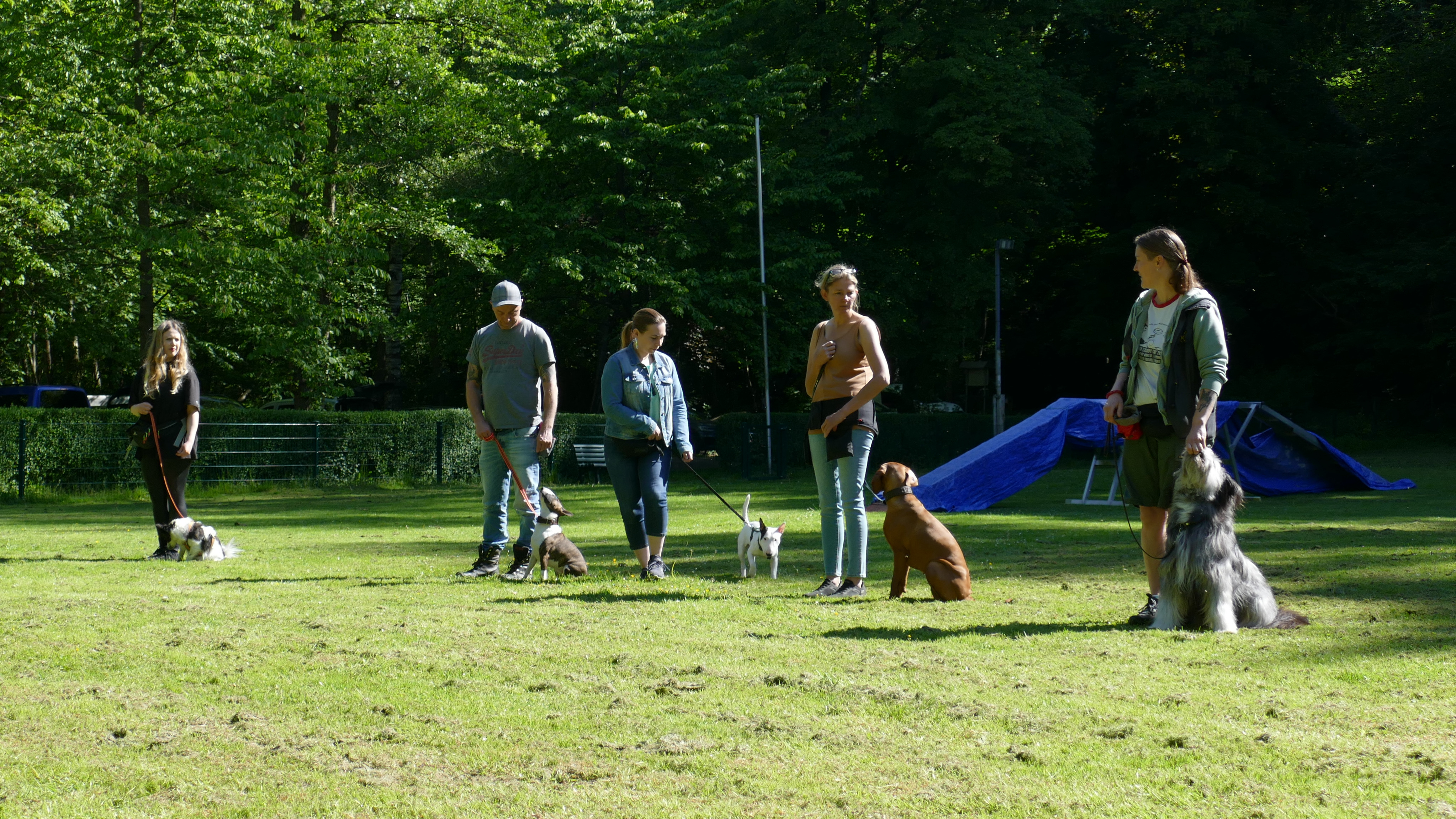 Gruppentraining auf dem Platz