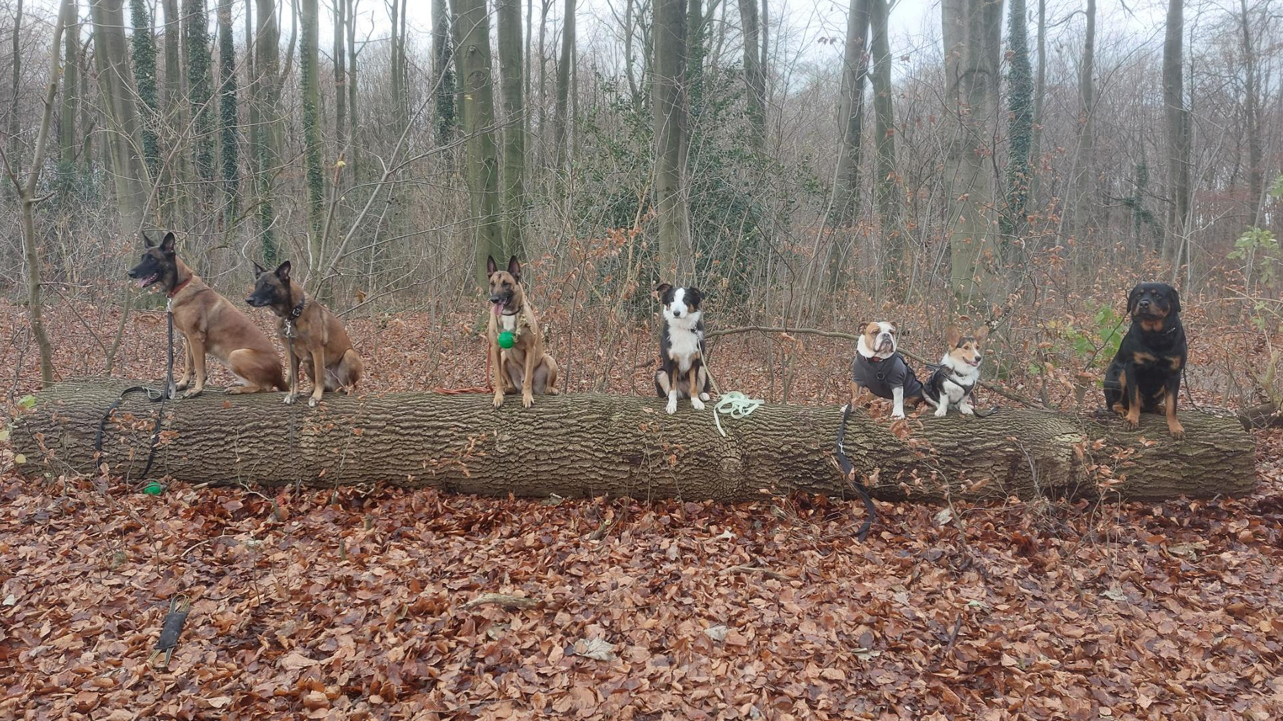 Gruppentraining unterwegs