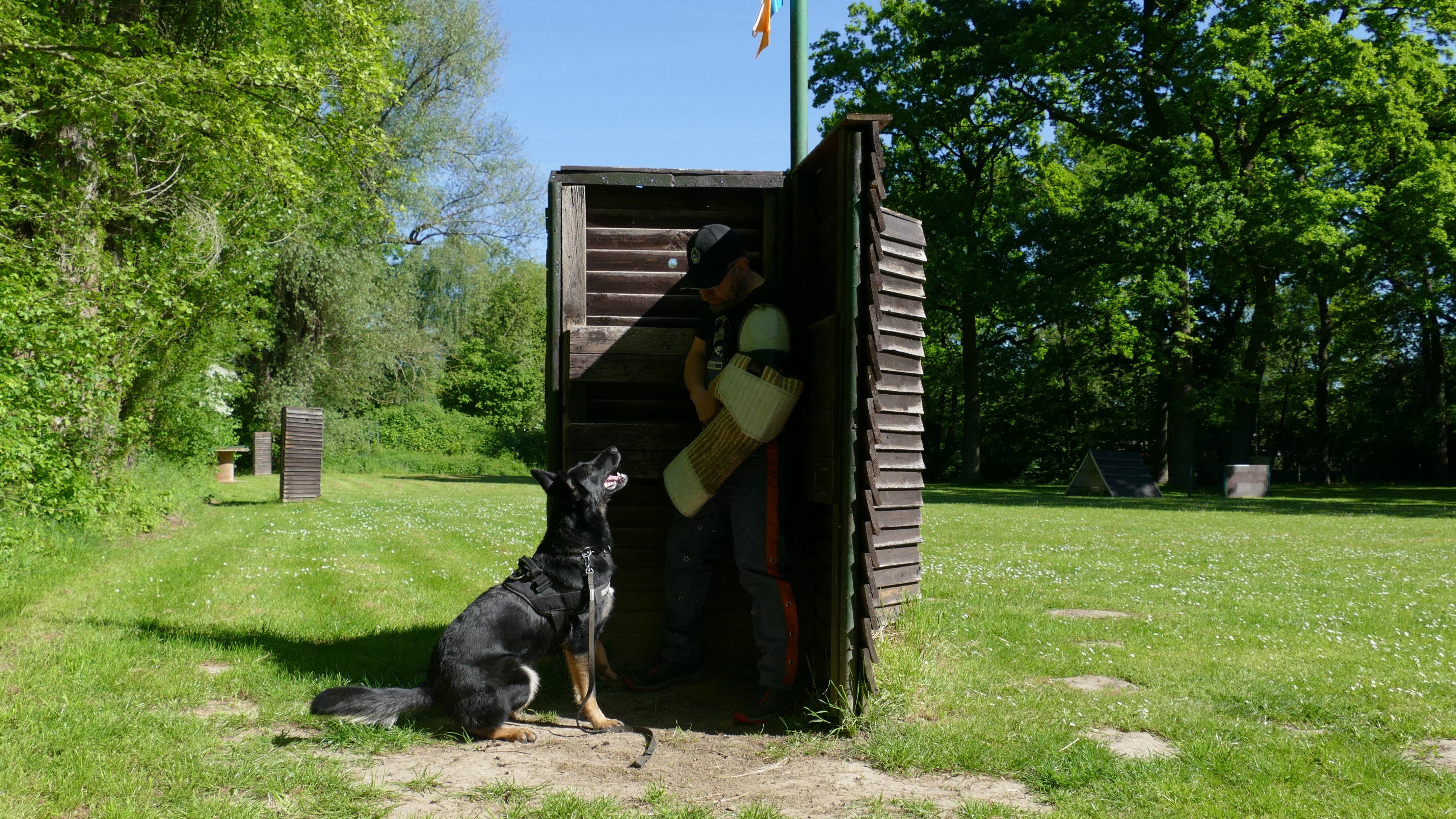 Gebrauchshundeausbildung